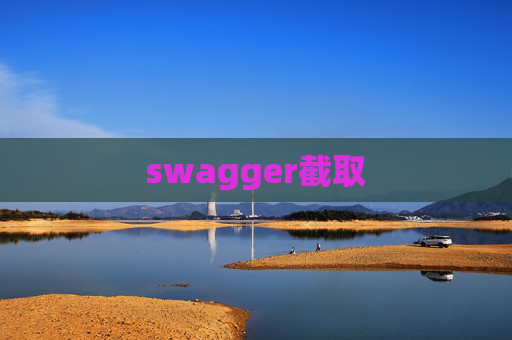 swagger截取